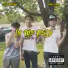 YUNG TYSON - In the Field (feat. FTO YoungKing) - Single